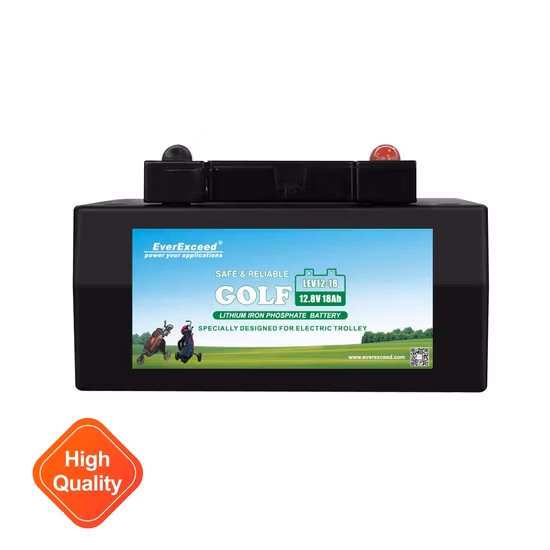 Bateria de lítio LiFePO4 de alta capacidade 12V 16ah 18ah 24ah/bateria L-Ion/para RV, sistema solar, iate, carrinho de golfe, Ess e bateria de carro